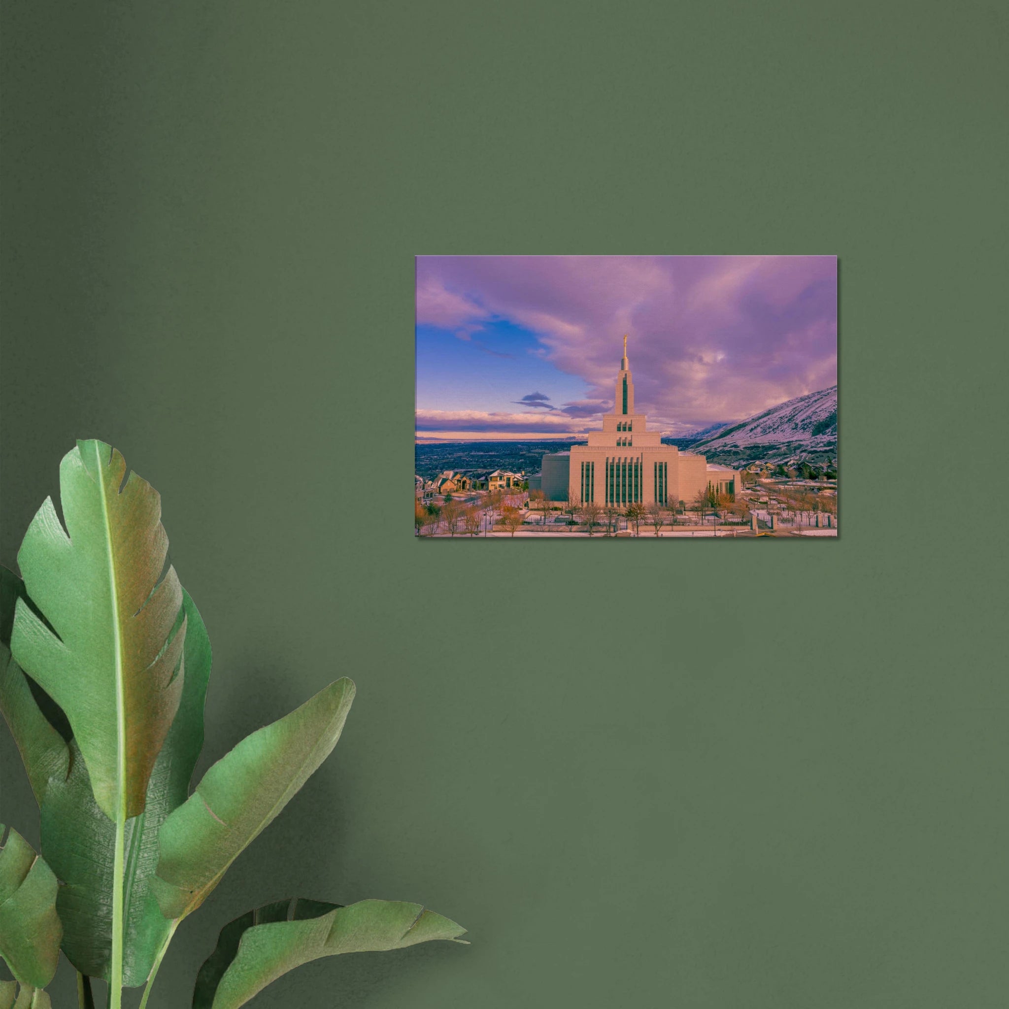 d66fd841-aef9-4b04-97e8-a68011f4c9fd