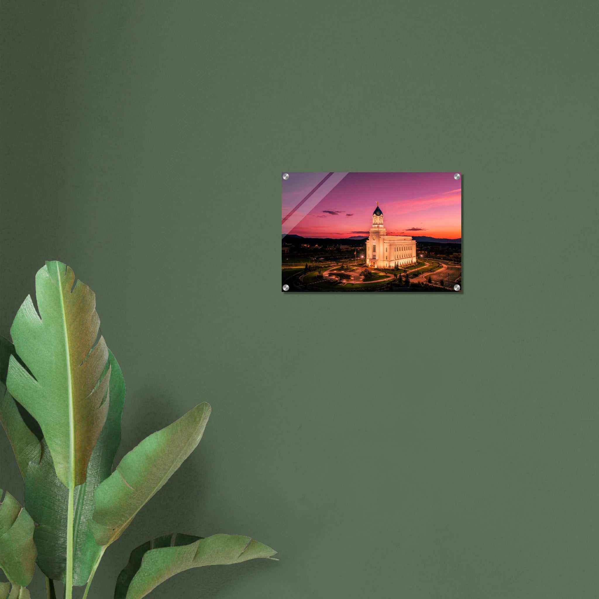 dfa8f21e-813a-450e-9ca0-624f85e44103