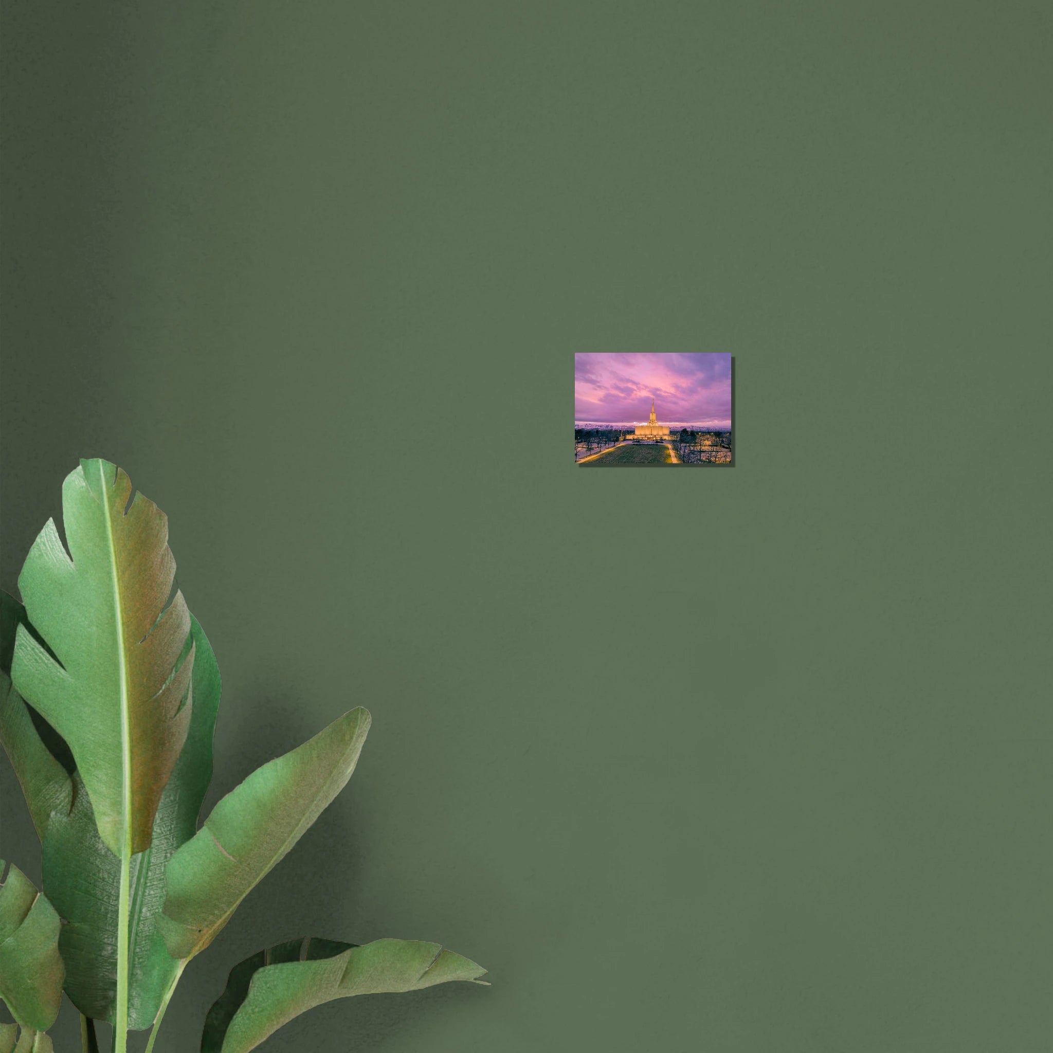 e15a9485-5bc0-4dfd-8c62-69b5aa971742