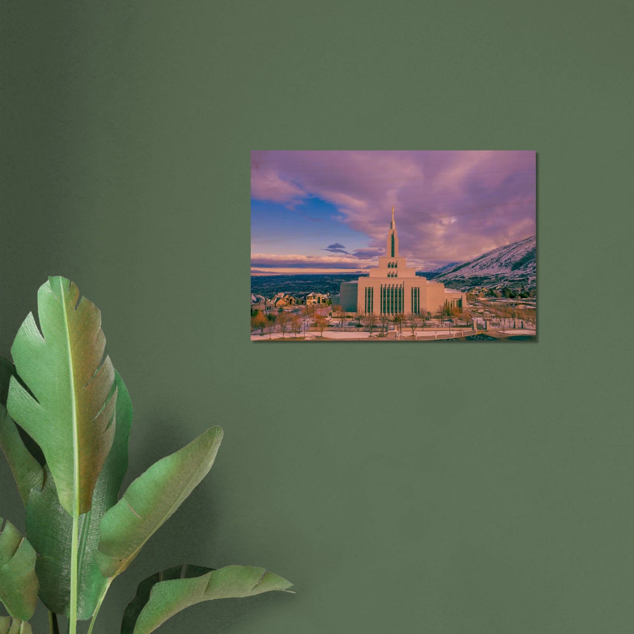 ef6926a7-dfa9-4c25-9aee-809240bb5e12