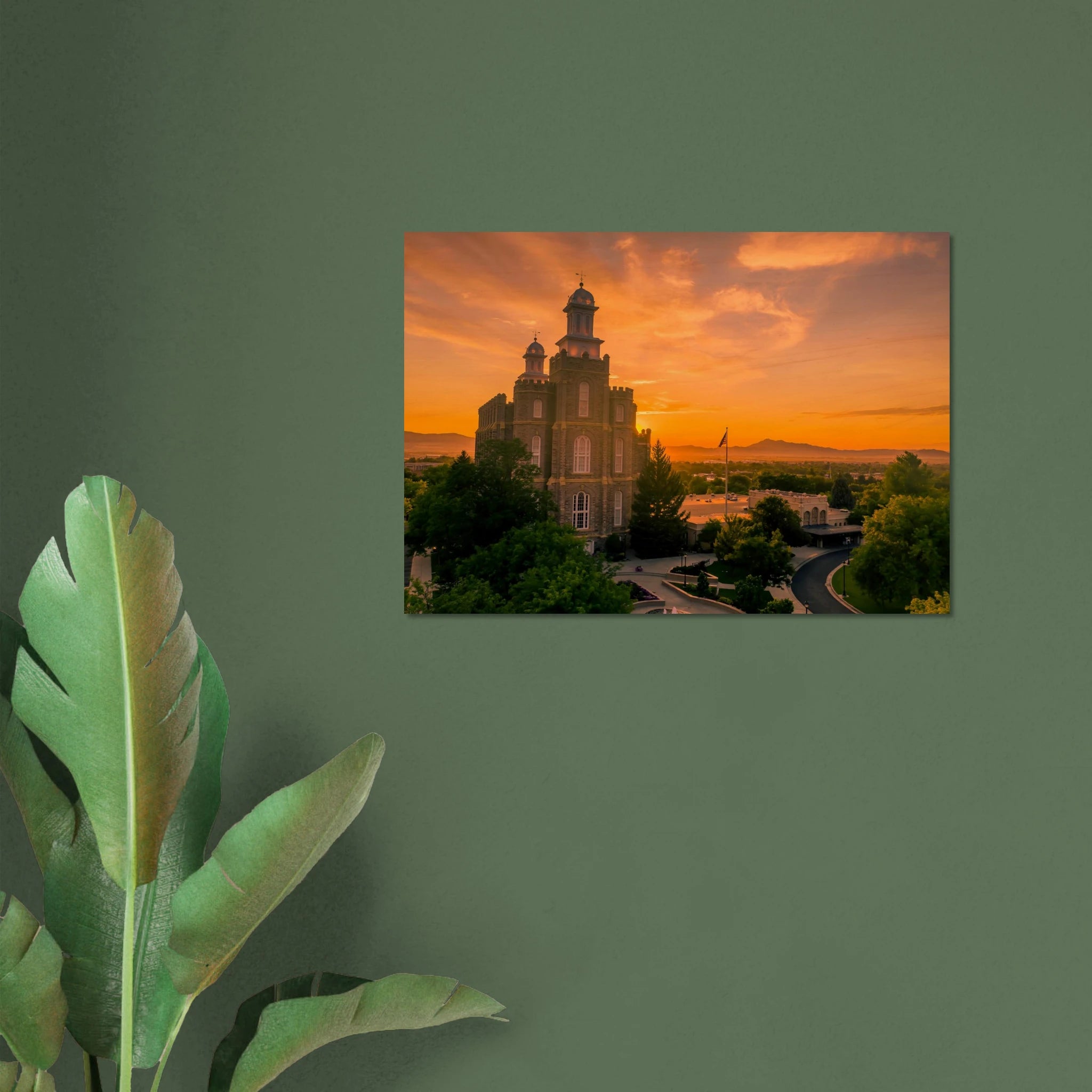 ef866e3e-de61-4ff2-bee5-2e37d090e647