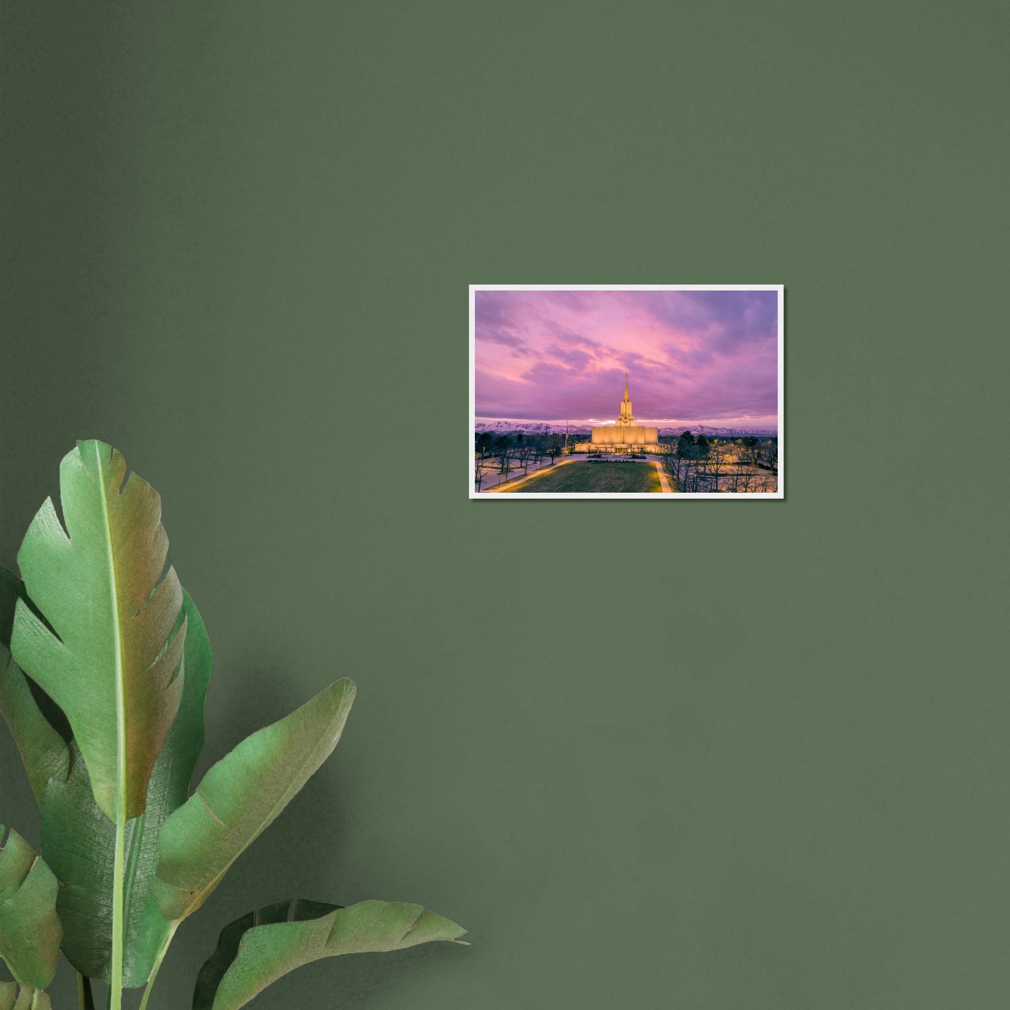 f01d3336-fdaf-4262-b0b6-c3939c9a2459