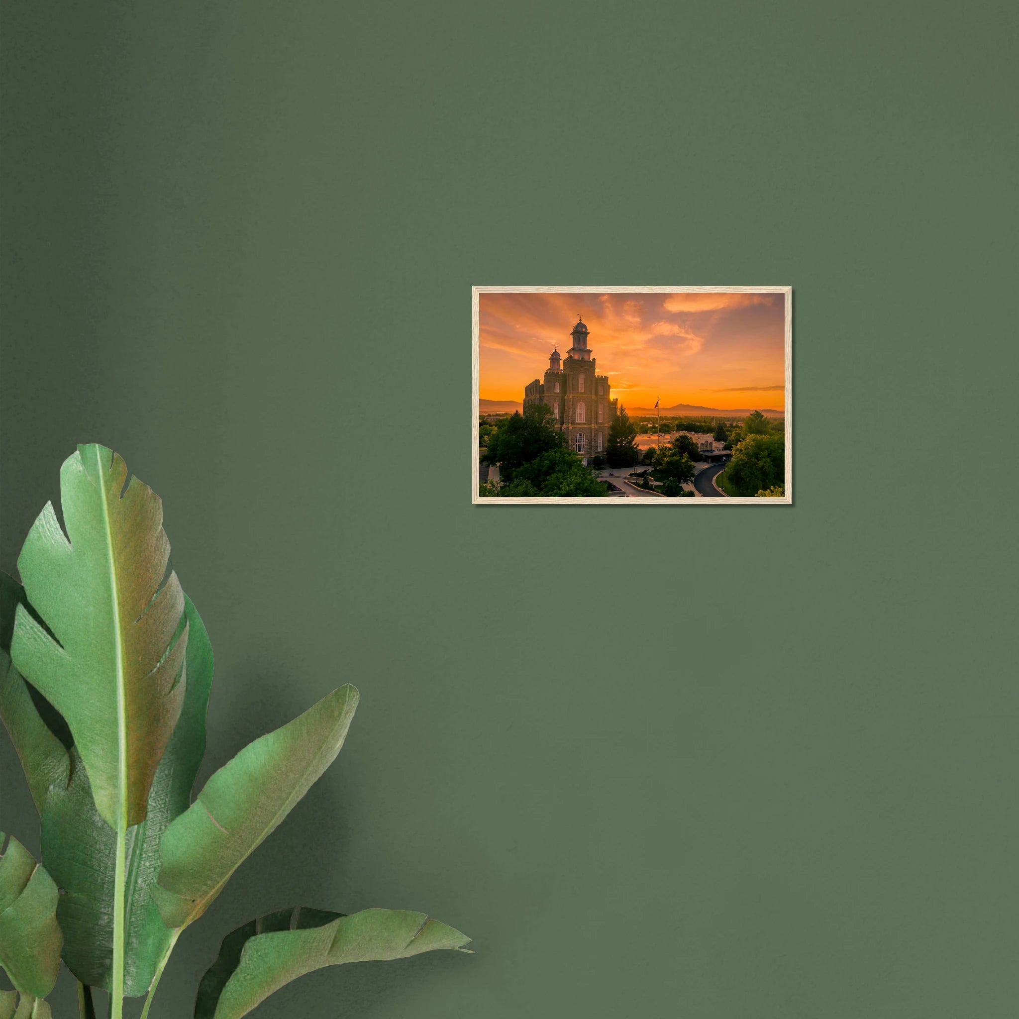 fa208795-dcee-49e9-83d6-4b4536ceeef0