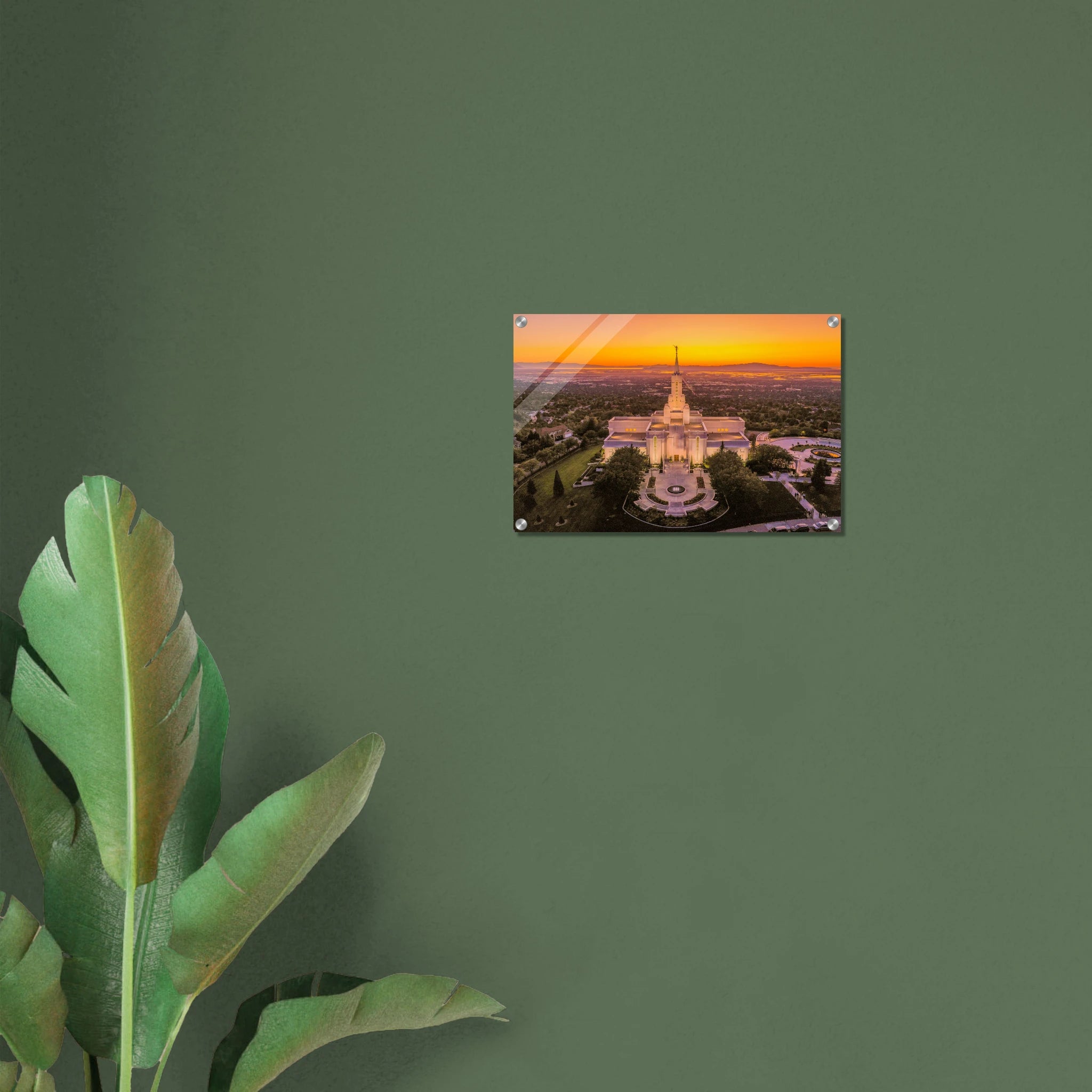 fb71a7d9-8a6b-4770-922e-ff615f16d073