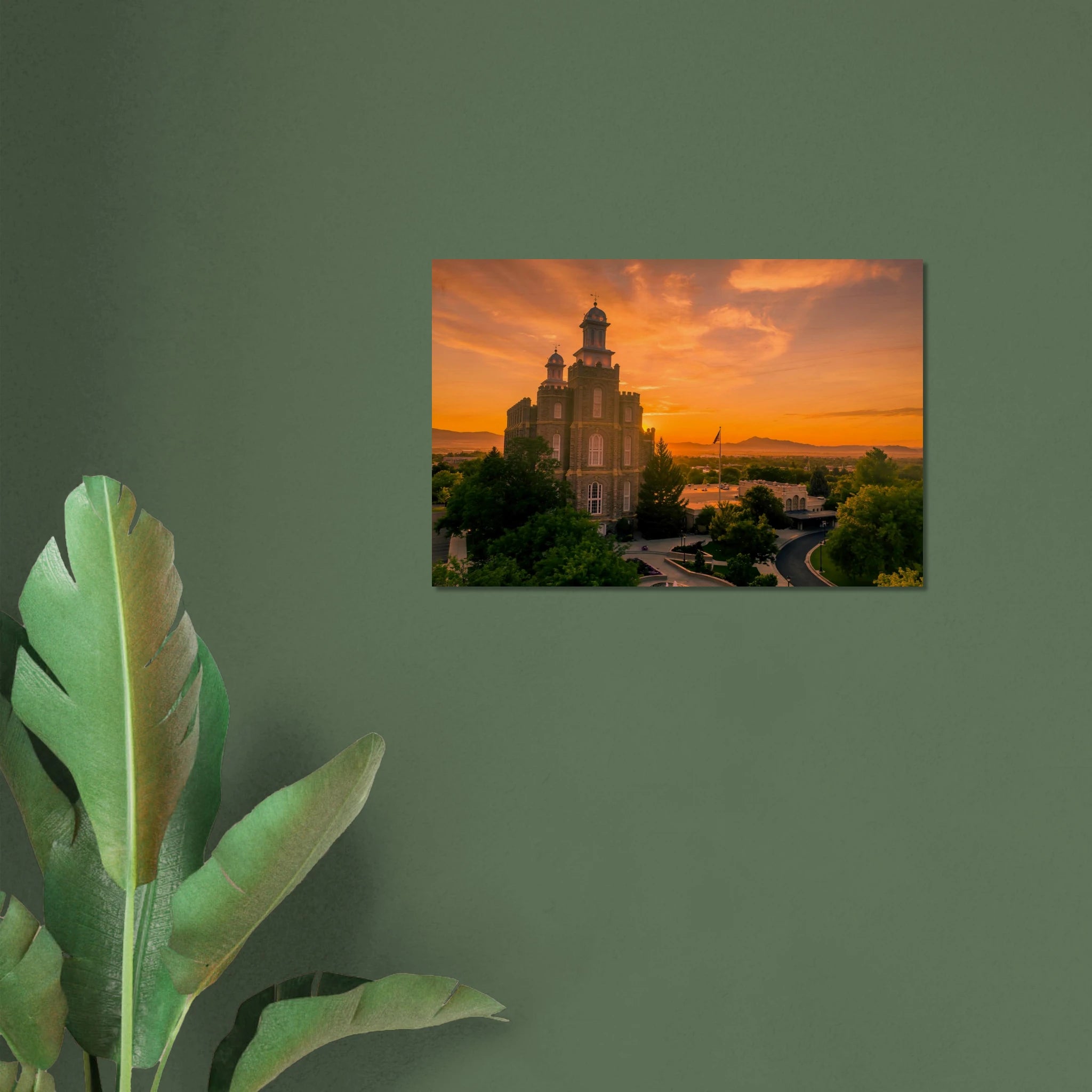 fc415e92-efa6-4fff-92b6-5153ec11f531