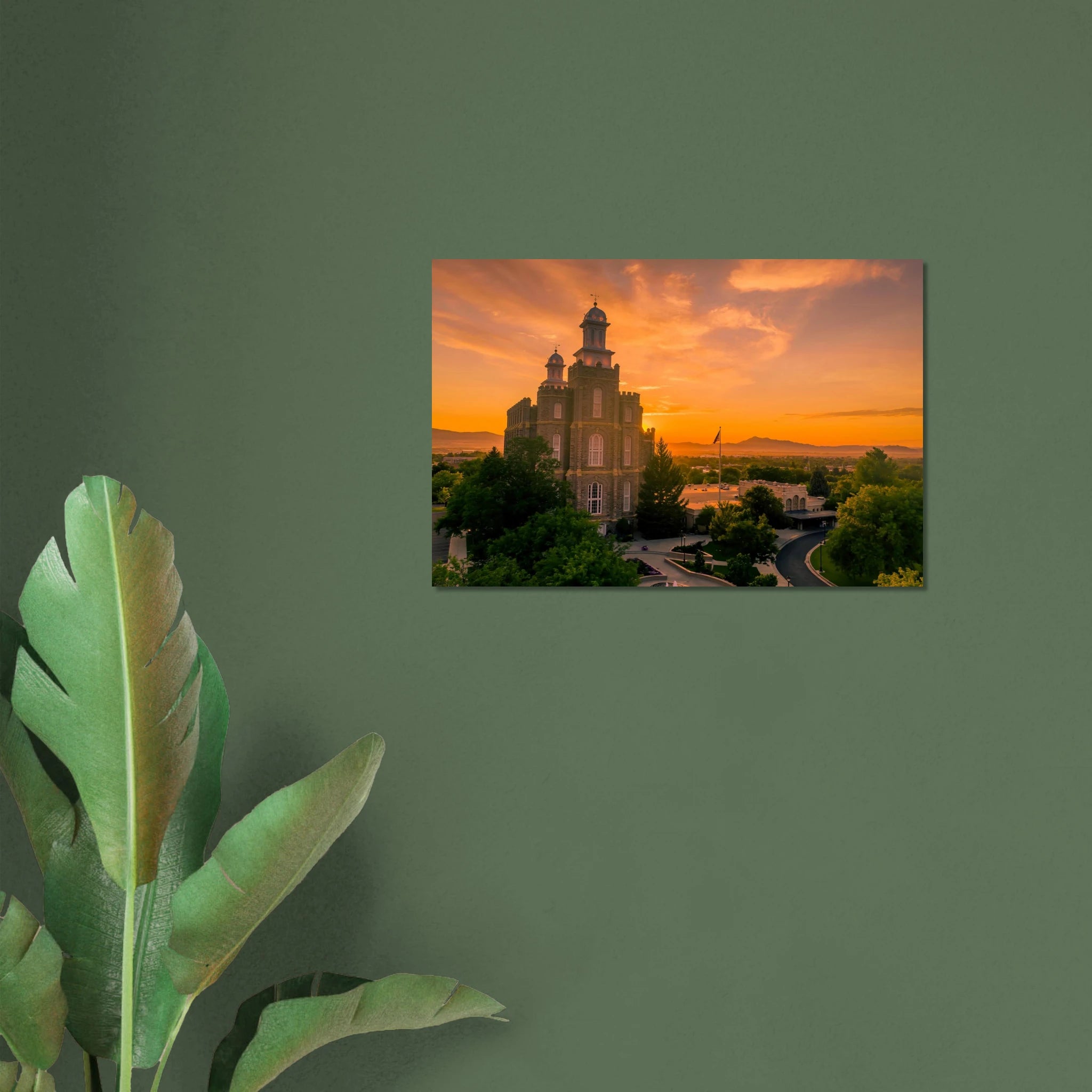 fcc5cafd-ae05-46be-b3bd-a85c1590be53