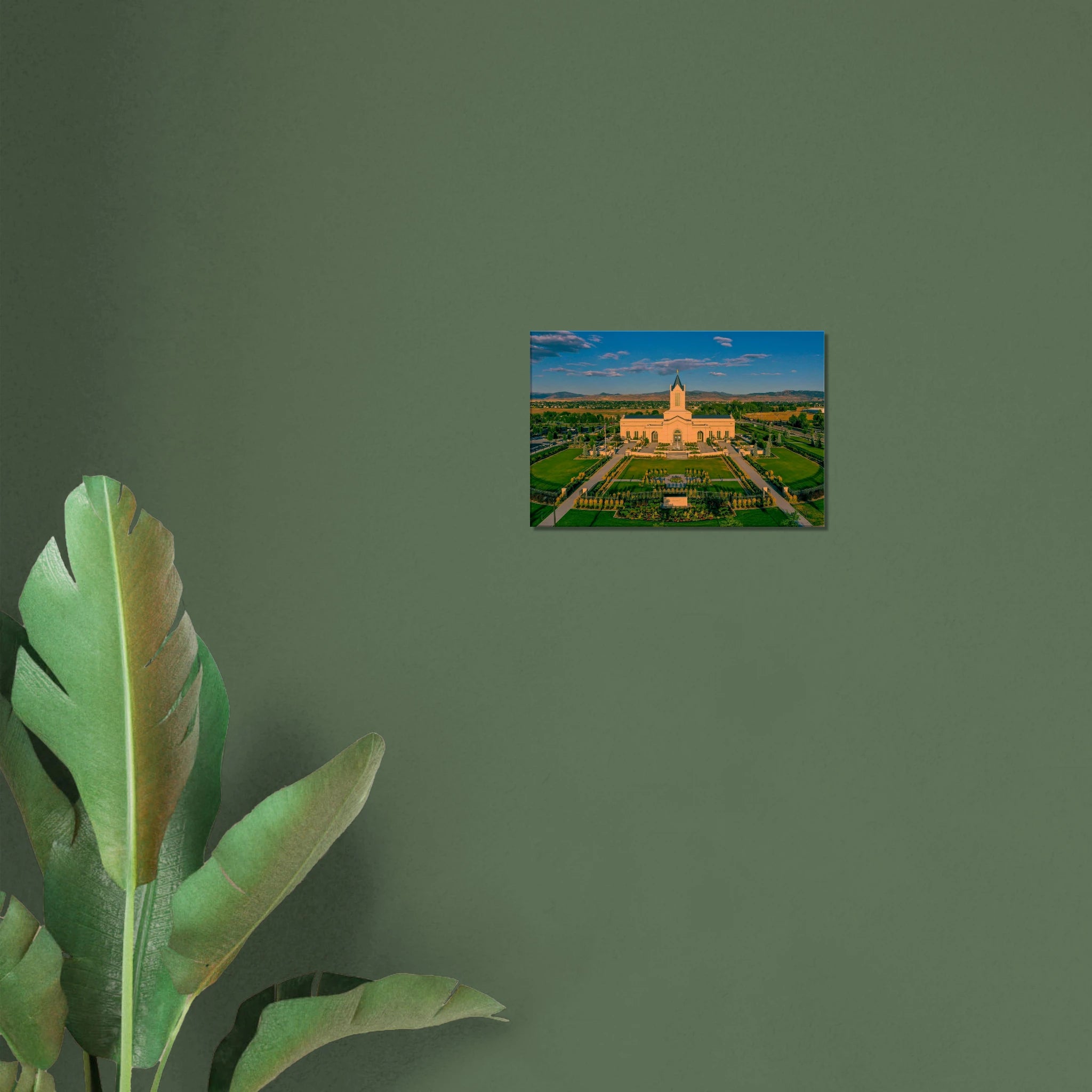 fdb49f12-cea2-4678-a4eb-88814bed5495