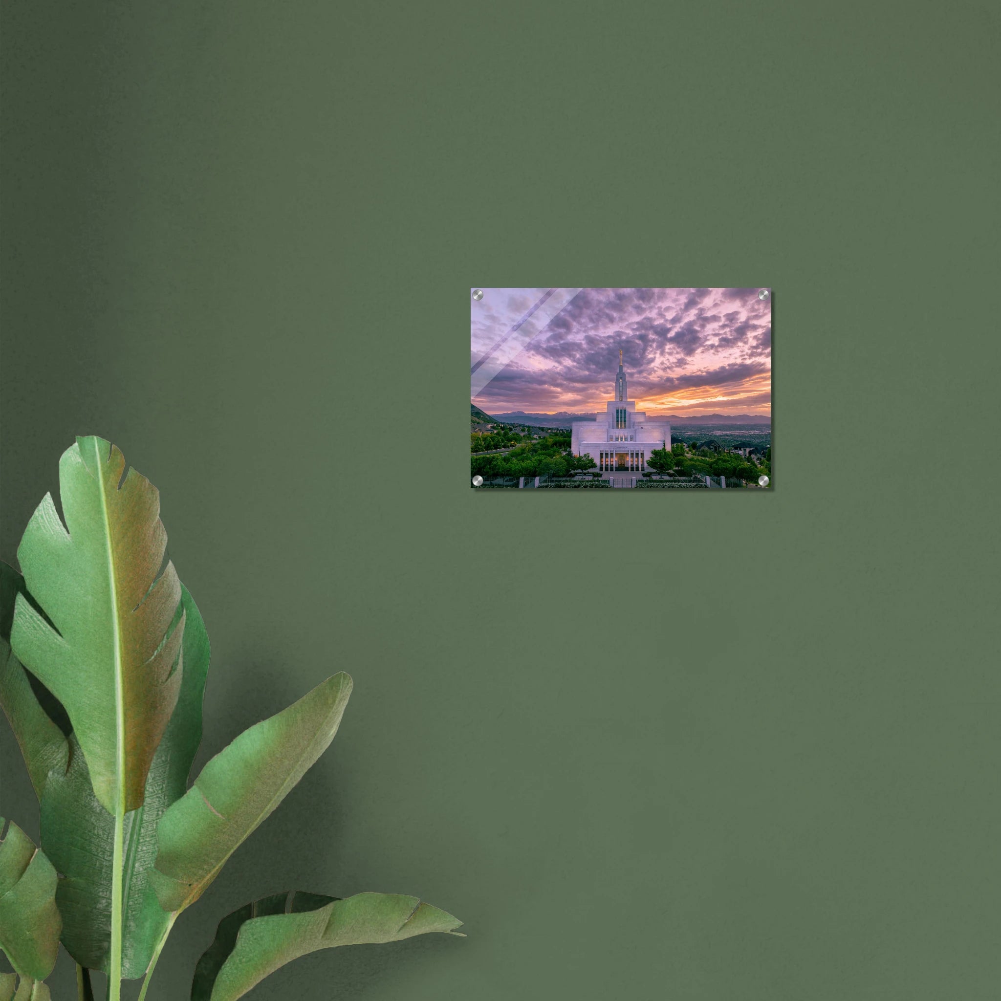 fe68d61f-c377-488b-8b50-044461161bf7