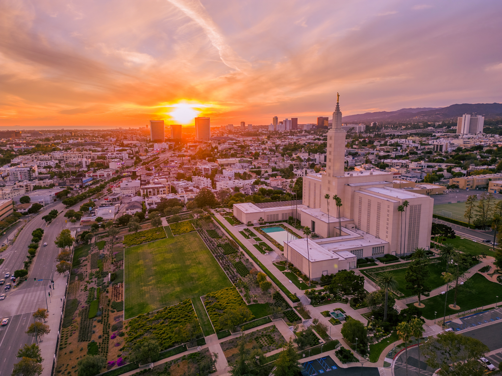 Light Rising Over the City